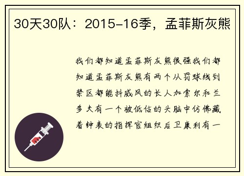 30天30队：2015-16季，孟菲斯灰熊